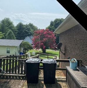 Meet your Posher, Marsha